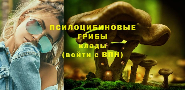 ALPHA-PVP Алексеевка