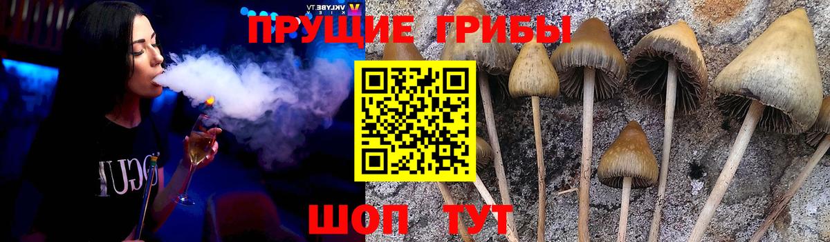 Лениногорск  Псилоцибиновые грибы мухоморы  наркошоп  Вход с VPN 